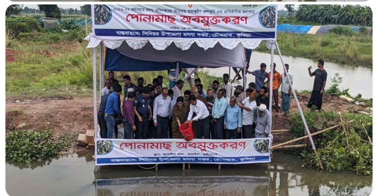 চৌদ্দগ্রামে কানাইল খালে পোনামাছ অবমুক্ত করলেন ডিসি