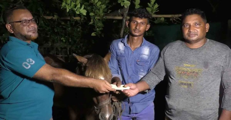 অন্ধ ঘোড়াকে আশ্রয় দেওয়া কলারোয়ার কলেজছাত্র সোহানকে "মাননীয় প্রধানমন্ত্রীর" আর্থিক সহায়তা প্রদান