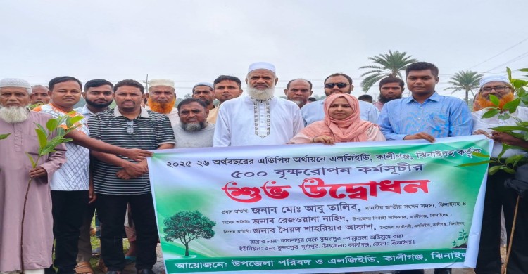 কালীগঞ্জে বৃক্ষরোপণ কর্মসূচির উদ্বোধন