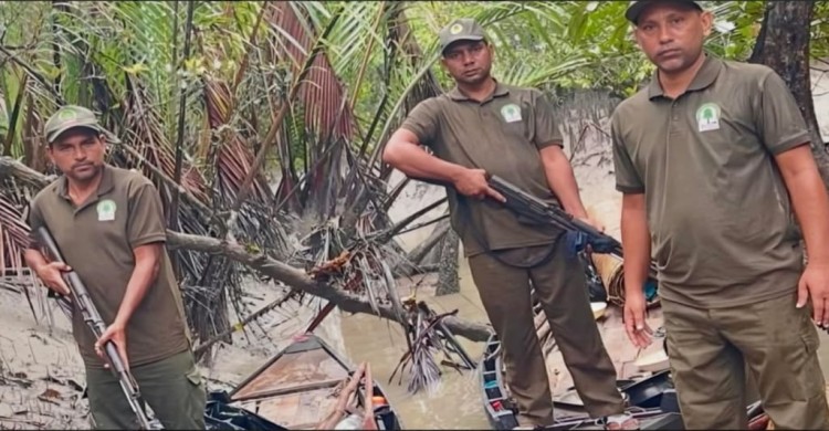 সুন্দরবনে বনরক্ষীর অভিযানে তিনটি নৌকাসহ ২৪ বোতল কীটনাশক ও শুঁটকি তৈরীর চাটাই জব্দ