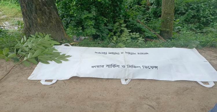 দিনাজপুরের বীরগঞ্জে সড়ক দুর্ঘটনায় মা ছেলে নিহত