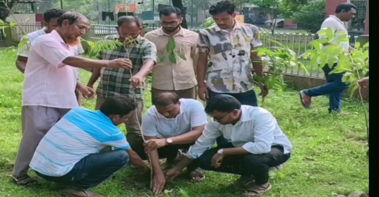 ঠাকুরগাঁওয়ে একদিনের বেতন বাঁচিয়ে ব্যতিক্রমী বৃক্ষরোপণ কর্মসূচি 