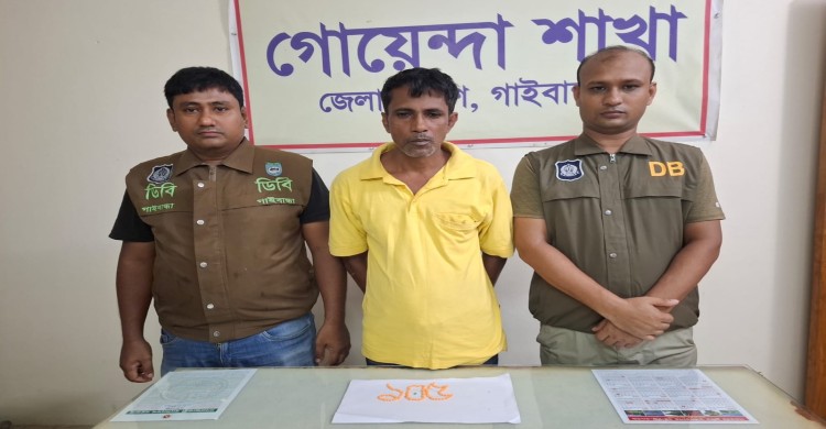 গাইবান্ধা ডিবি পুলিশের অভিযানে  ফুলছড়ি উপজেলায় উদাখালী ইউনিয়নে ইয়াবা সহ আটক