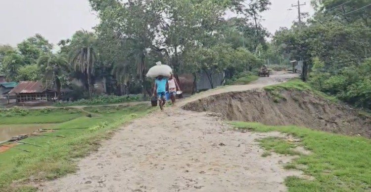 কলাপাড়ায় রাস্তাসহ ভেঙ্গে পড়েছে স্লুইস, জোয়ারে পানিতে প্লাবিত সাতশত একর ফসলি জমি