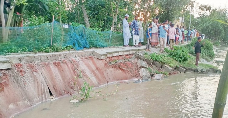 গঙ্গাচড়ায় তিস্তার মার্জিনাল ডাইকে ধস, ঝুঁকিতে কোলকোন্দ ইউনিয়ন পরিষদ
