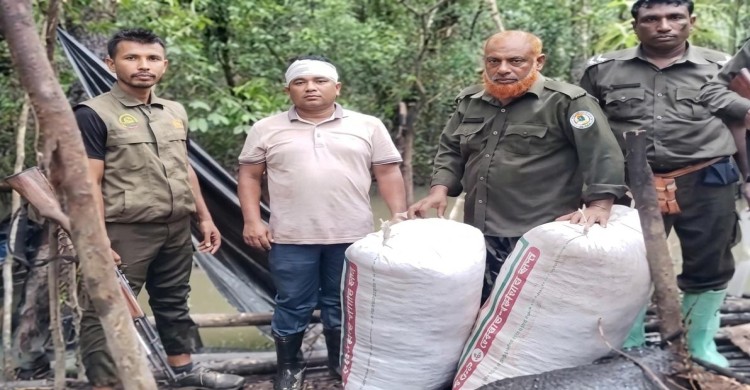 চাঁদপাই রেঞ্জের চরাপুটিয়ায় বনরক্ষীদের অভিযানে অবৈধ শুটকির মাচা ধ্বংস,শুঁটকি চিংড়ি,নৌকা ও কীটনাশক এবং জাল জব্দ