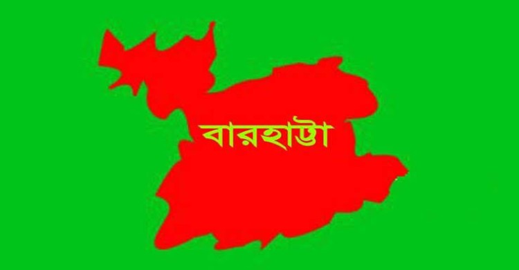 পৌরসভা হচ্ছে বারহাট্টা, উপজেলাবসীর দীর্ঘদিনের স্বপ্ন পূরণ