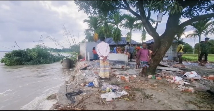 তিস্তার পানি কমতেই গঙ্গাচড়ায় ভয়াবহ ভাঙন, ঝুঁকিতে জনপদ ‎