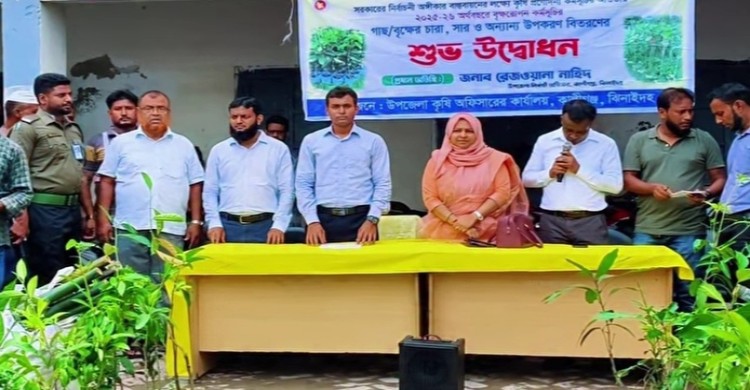 কালীগঞ্জে কৃষি প্রণোদনার উপকরণ বিতরণ