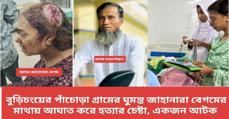 বুড়িচংয়ে গভীর রাতে জানালা দিয়ে  বৃদ্ধাকে কুপিয়ে জখমের অভিযোগ, আইসিইউতে চিকিৎসাধীন